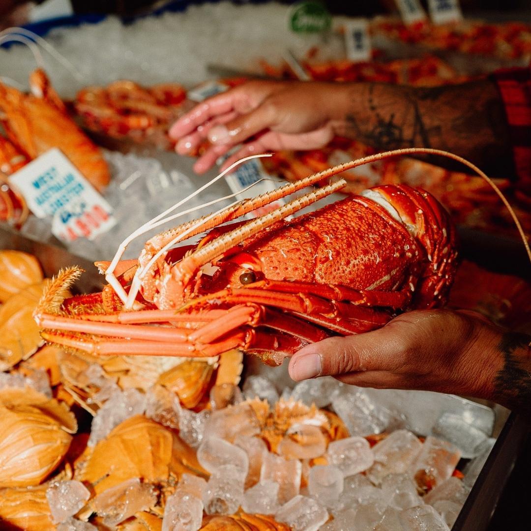 Best Byron Bay Seafood Restaurant Bonito at Hotel Marvell