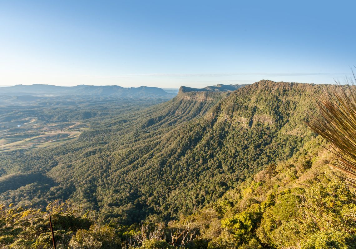 Pinnacle Walk Greenery near Byron Bay